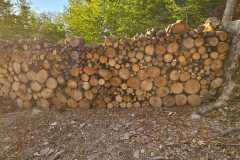 houtstapel-achtertuin